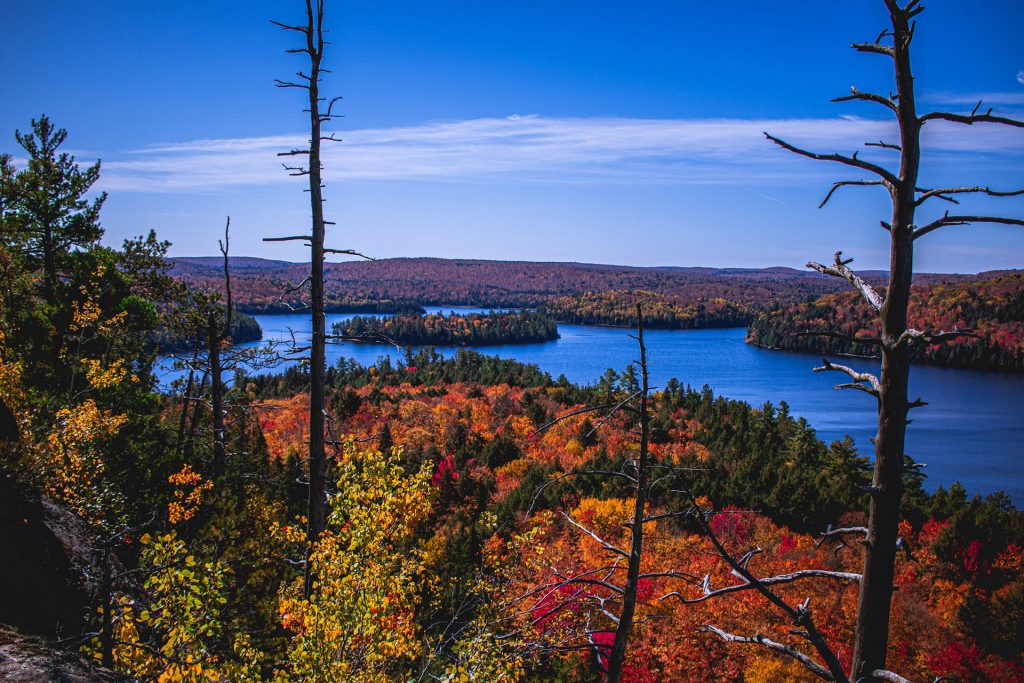 Plan a Move Up North This Year: Some of the Best Places to Live in Muskoka